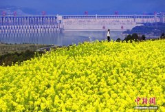 春染三峡岸 繁花映平湖